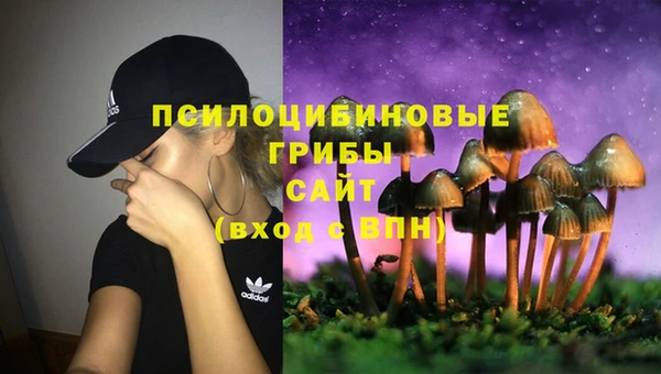 MESCALINE Аркадак
