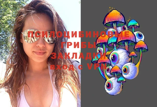 хмурый Армянск